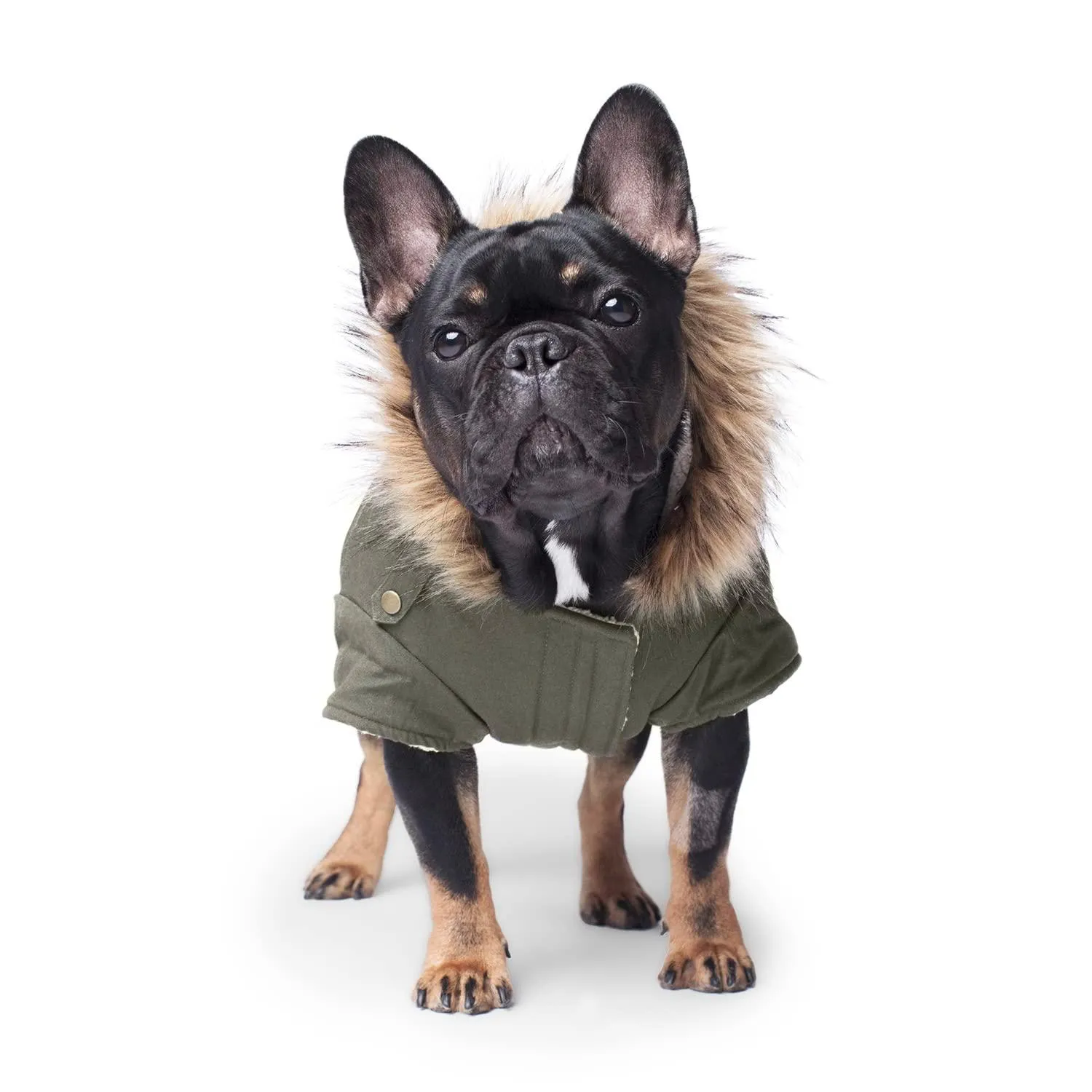 Canada Pooch Alaskan Army Parka Size 14  Army Green Insulated Dog Coat