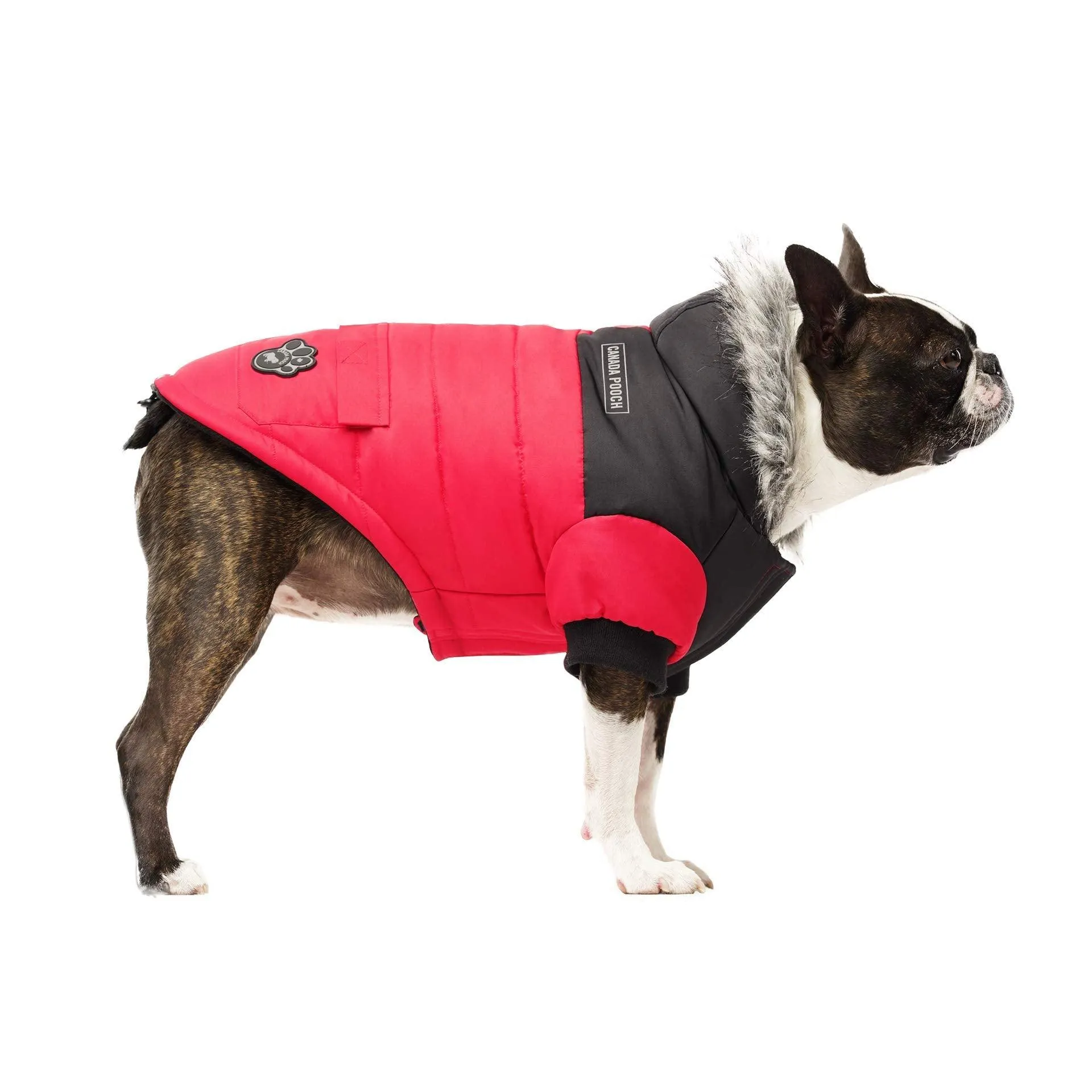 Canada Pooch True North Parka Size 24 Red Insulated Dog Coat