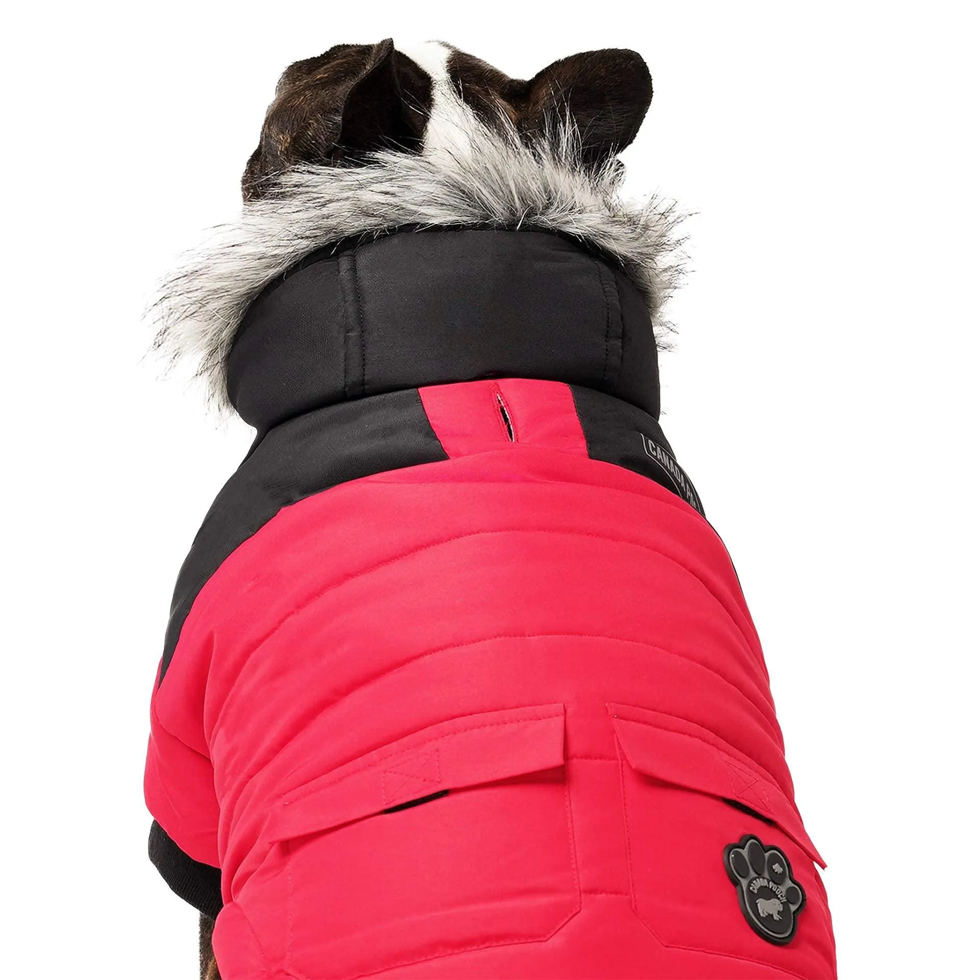 Canada Pooch True North Parka Size 24 Red Insulated Dog Coat