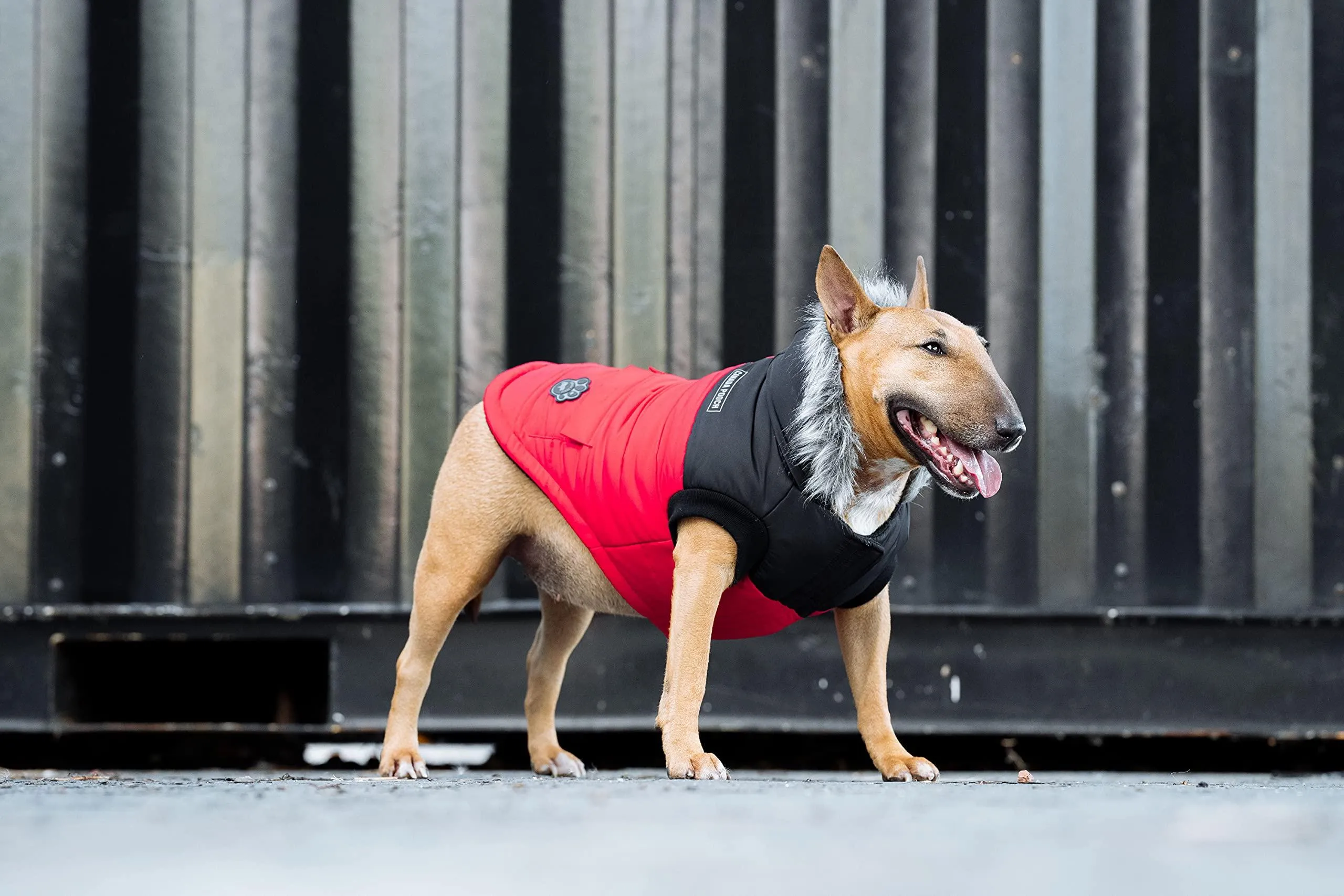 Canada Pooch True North Parka Size 24 Red Insulated Dog Coat