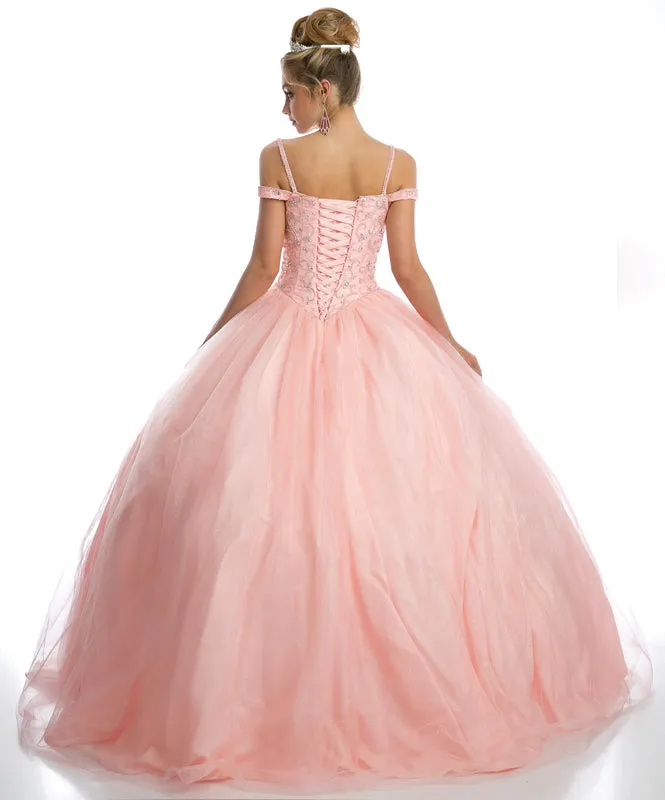 Special Illusion Sweetheart Floral Lace Gown | Long Prom, Evening, or Wedding Ball Gown