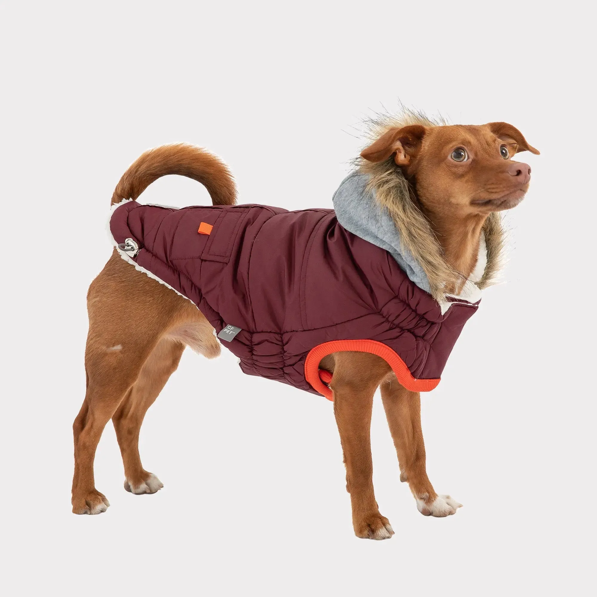 Winter Sailor Dog Parka | Burgundy