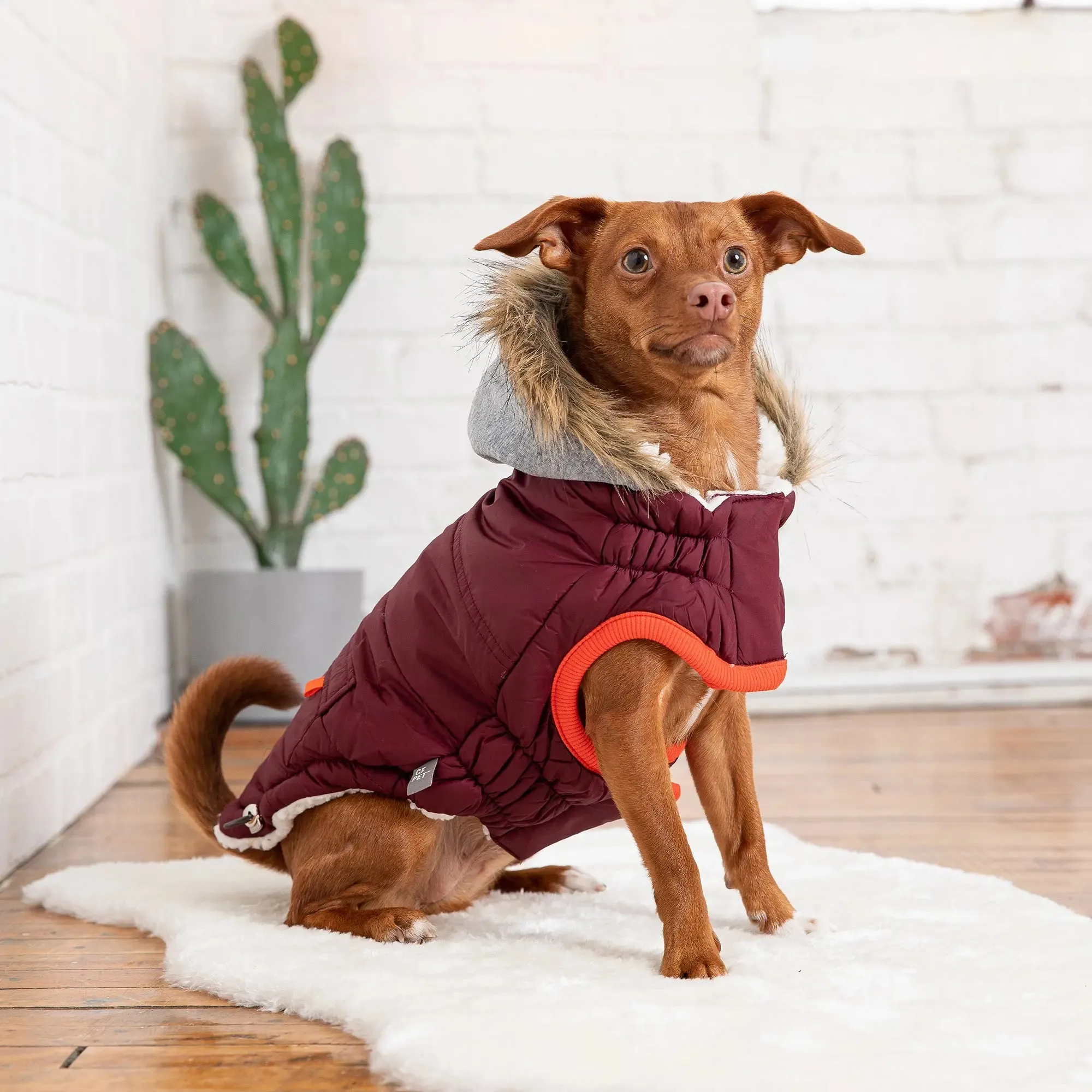 Winter Sailor Dog Parka | Burgundy