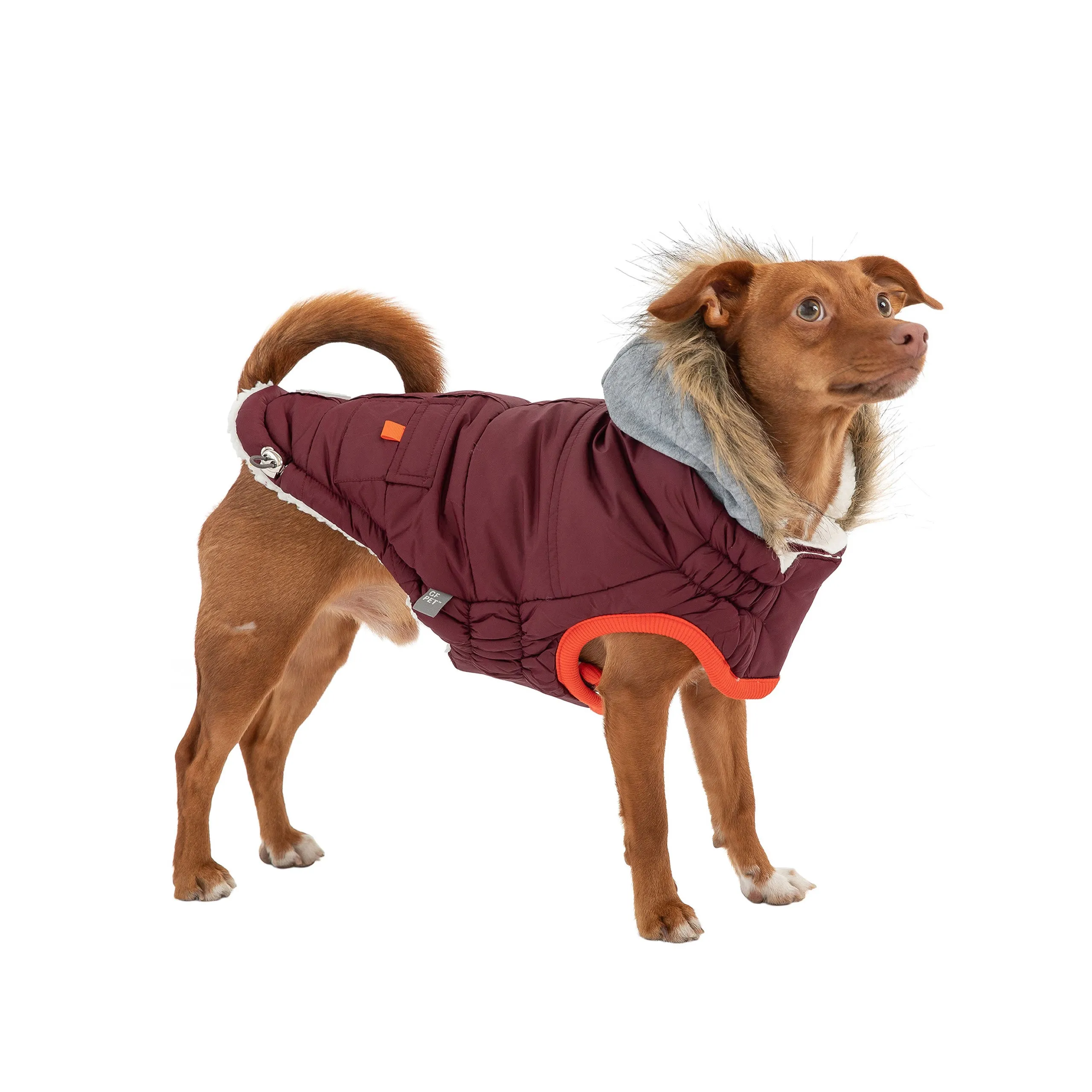 Winter Sailor Parka Dog Jacket Burgundy